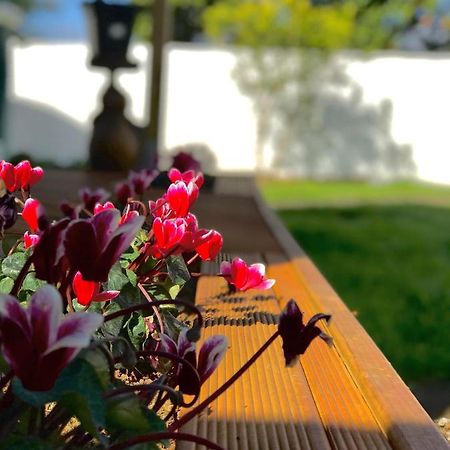 Onehunga Garden Tinyhouse With Parking 호텔 오클랜드 외부 사진