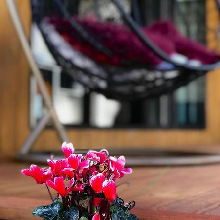 Onehunga Garden Tinyhouse With Parking 호텔 오클랜드 외부 사진