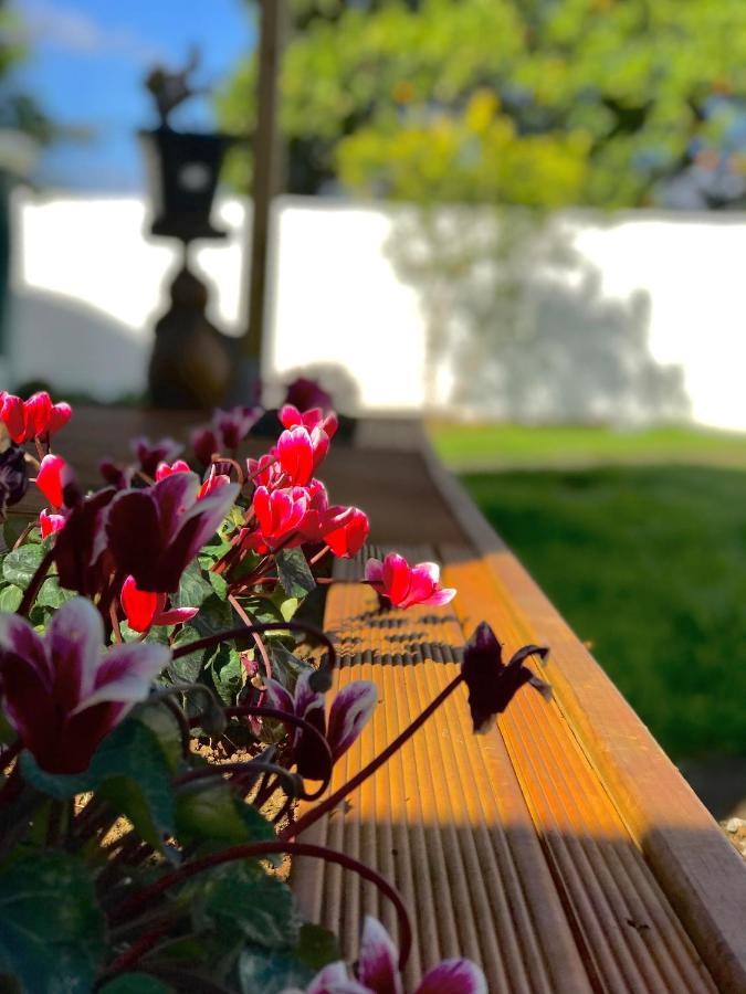 Onehunga Garden Tinyhouse With Parking 호텔 오클랜드 외부 사진